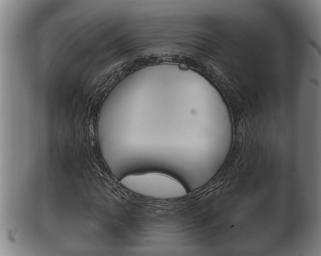 X0000100371062200806060757