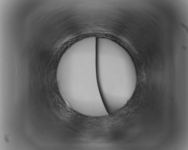 X0000100371063200806060757