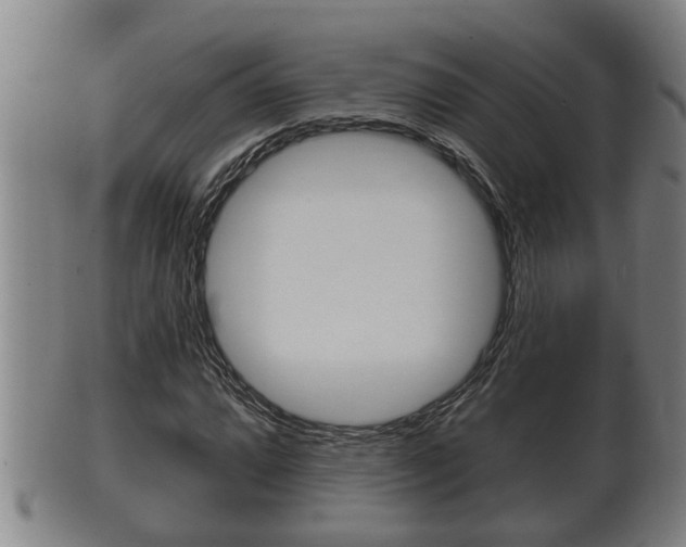 X0000100371064200806060757