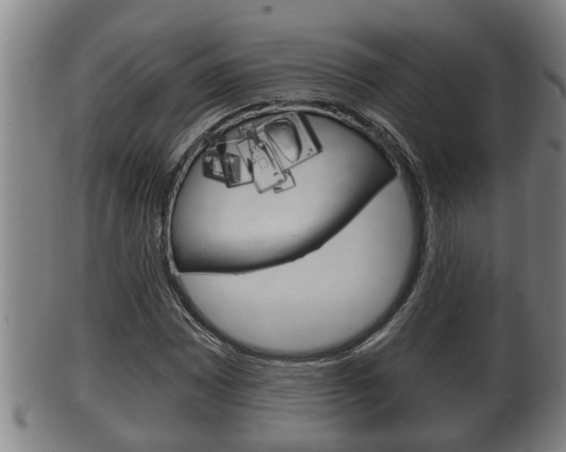 X0000100371065200806060757
