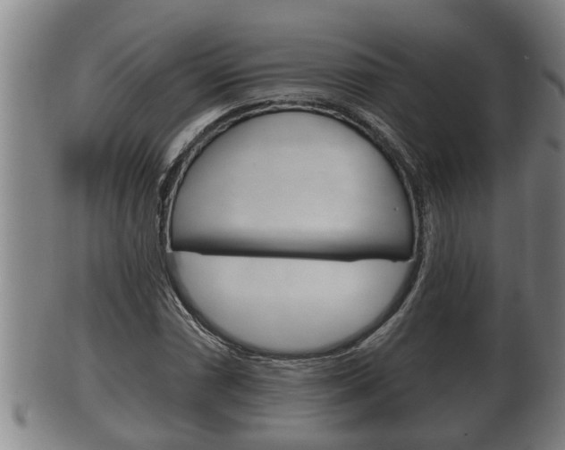 X0000100371066200806060757