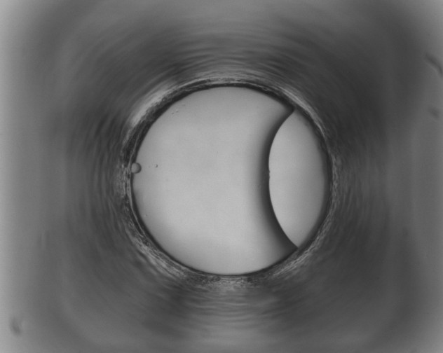 X0000100371067200806060757