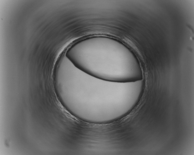 X0000100371068200806060756