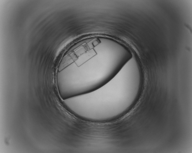 X0000100371069200806060756