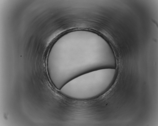 X0000100371070200806060756