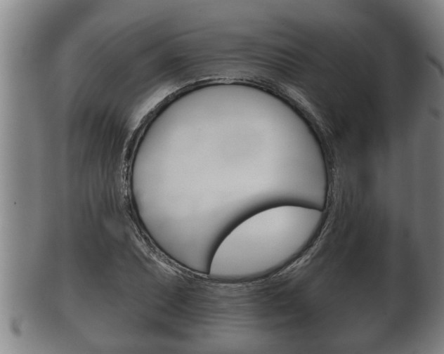 X0000100371071200806060756