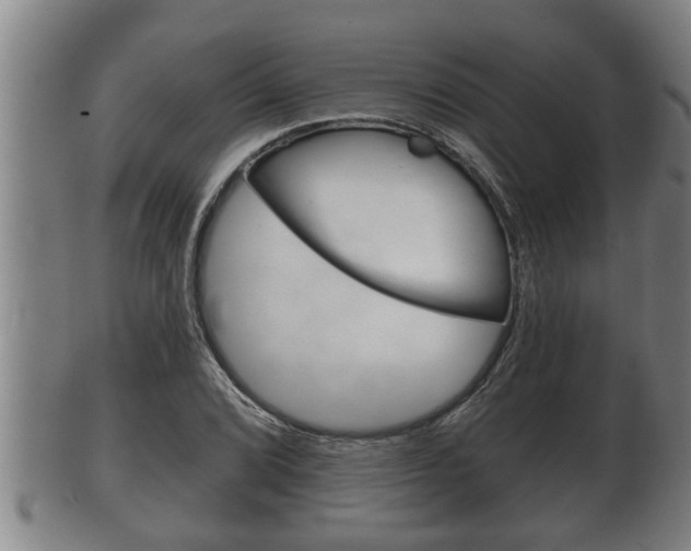 X0000100371072200806060756