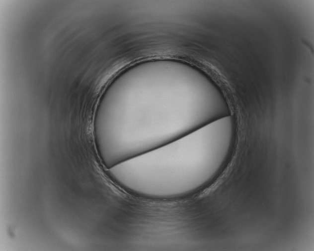 X0000100371073200806060756
