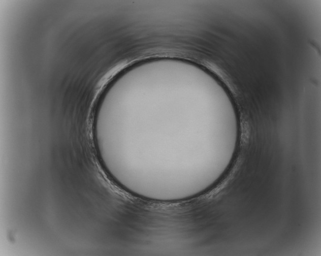 X0000100371074200806060756