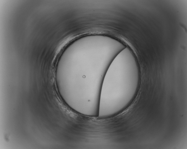 X0000100371075200806060756