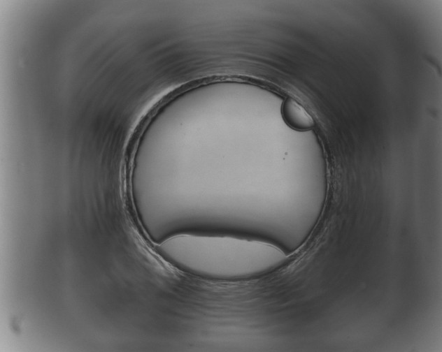 X0000100371076200806060756