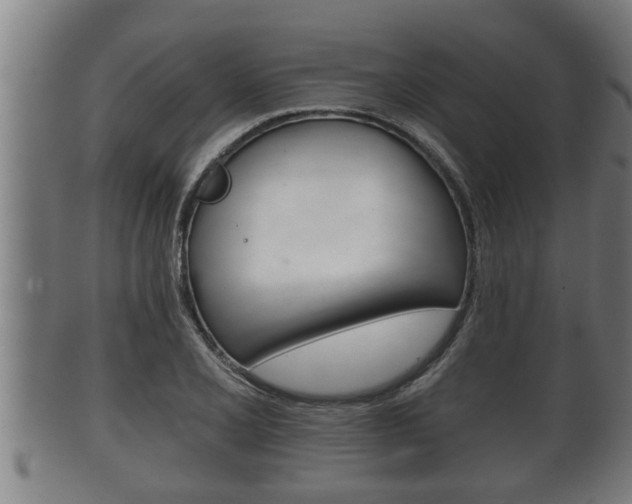 X0000100371077200806060756