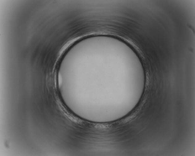 X0000100371078200806060756