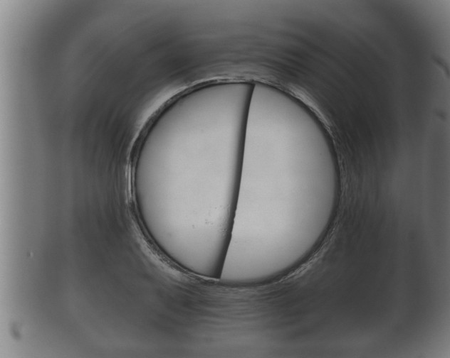 X0000100371079200806060756