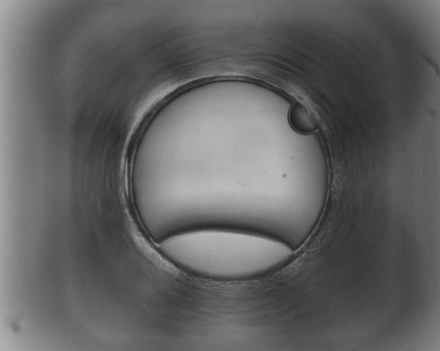 X0000100371080200806060756