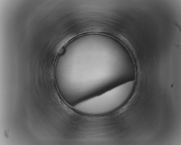 X0000100371081200806060756