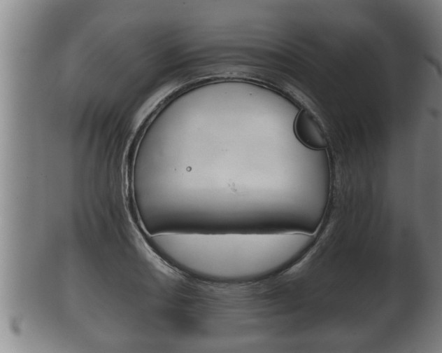 X0000100371082200806060756