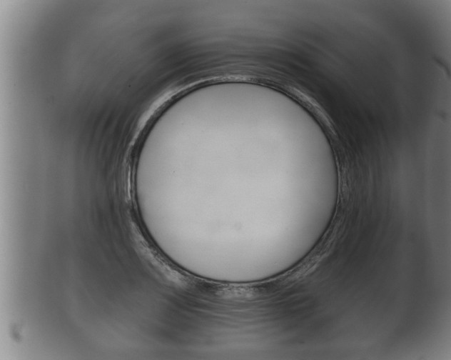 X0000100371083200806060756