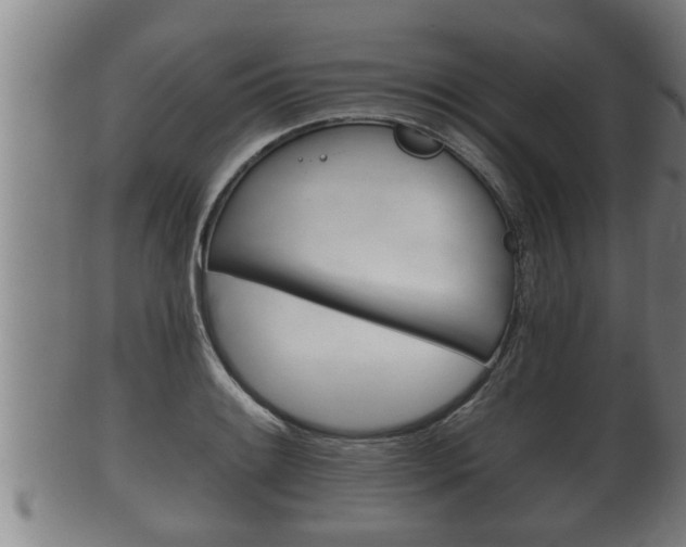 X0000100371084200806060756