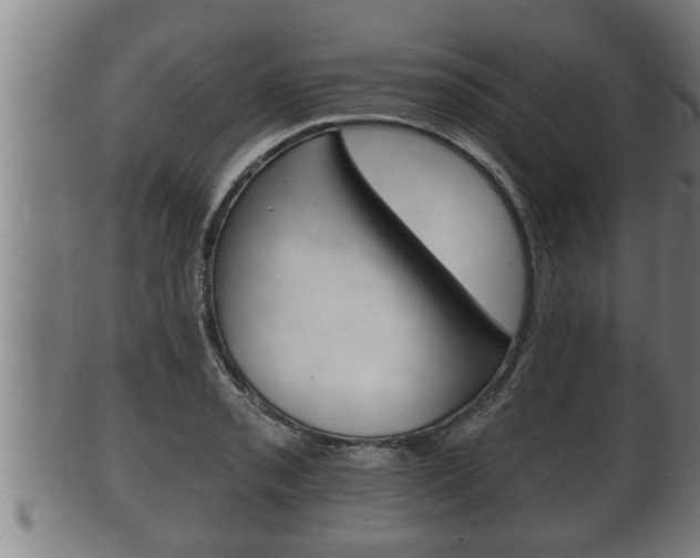 X0000100371085200806060756