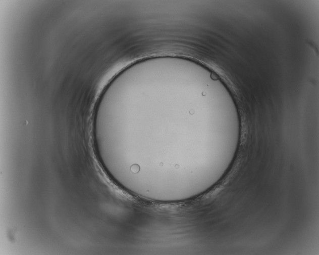 X0000100371086200806060756