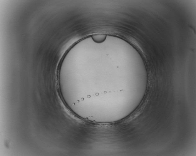 X0000100371087200806060756