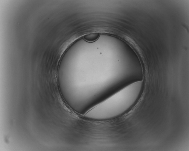 X0000100371089200806060756