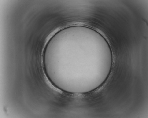 X0000100371090200806060756