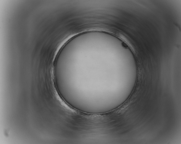 X0000100371092200806060756