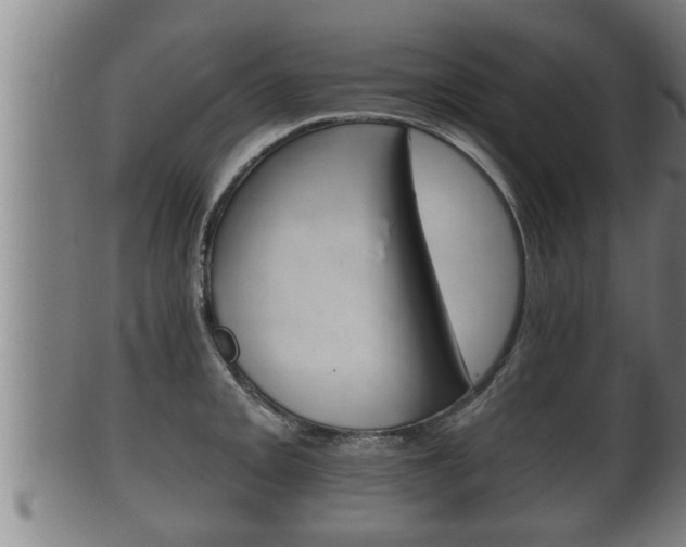 X0000100371093200806060756