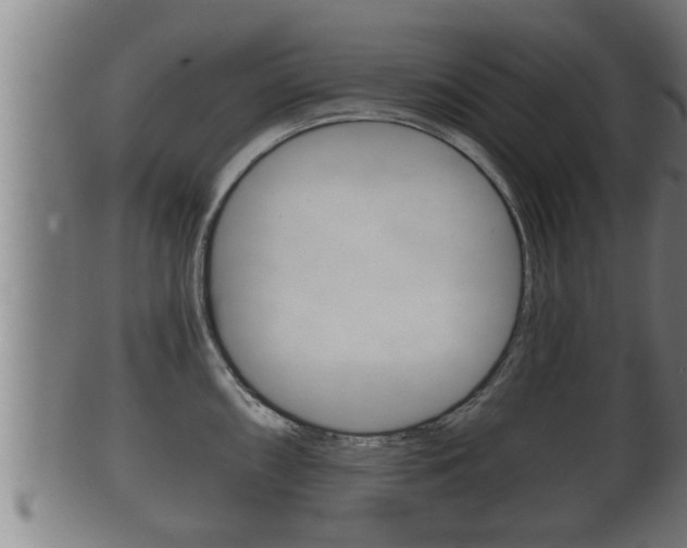 X0000100371098200806060756