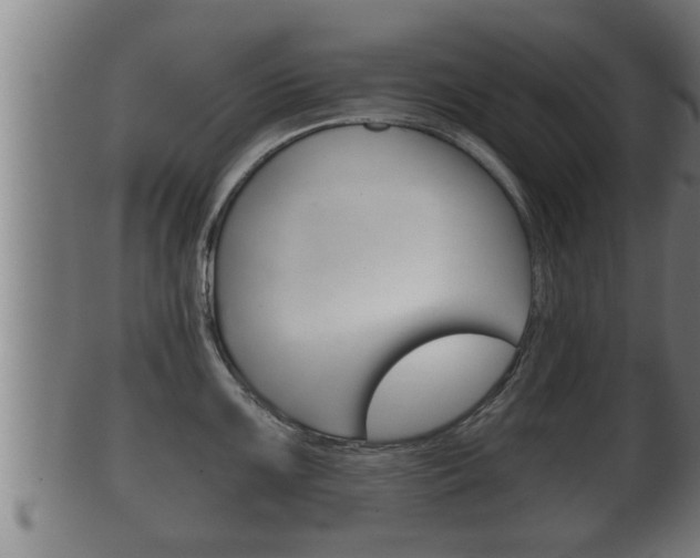 X0000100371099200806060756