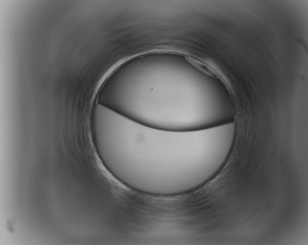 X0000100371100200806060756