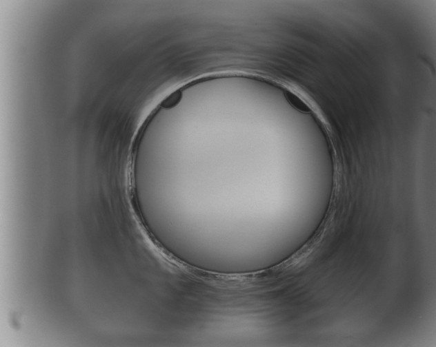 X0000100371101200806060756