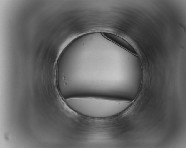 X0000100371102200806060756