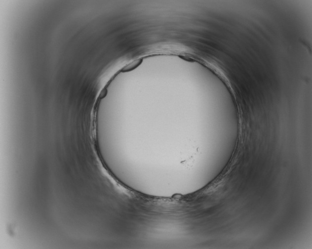 X0000100371103200806060756