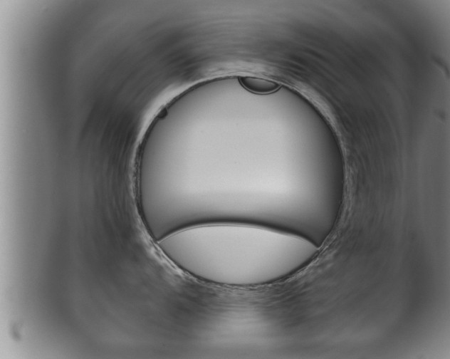 X0000100371104200806060756