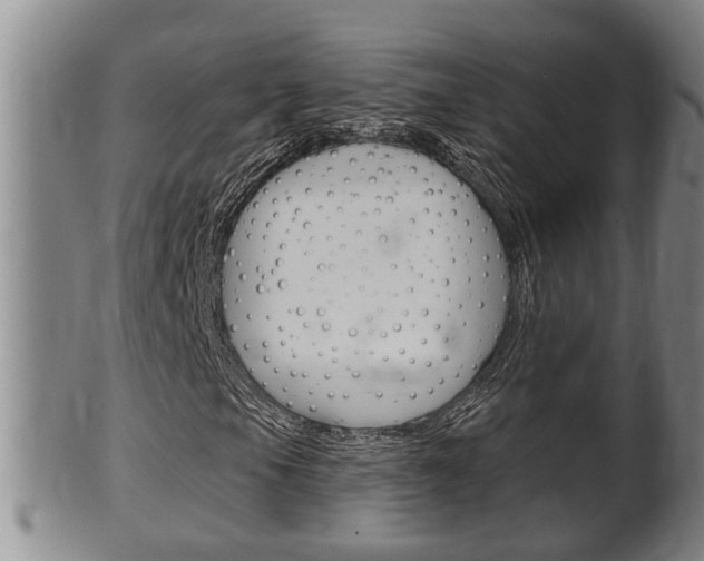 X0000100371105200806060755