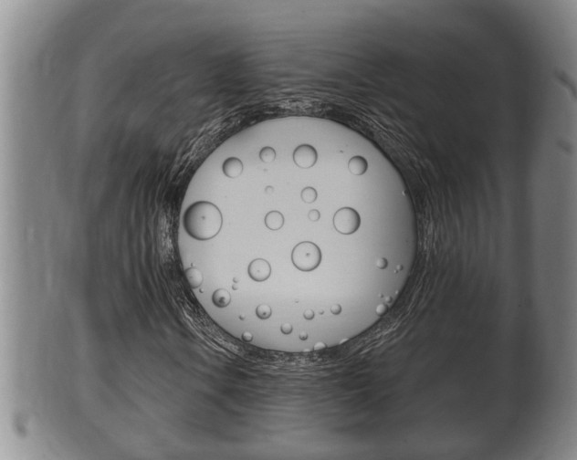 X0000100371106200806060755
