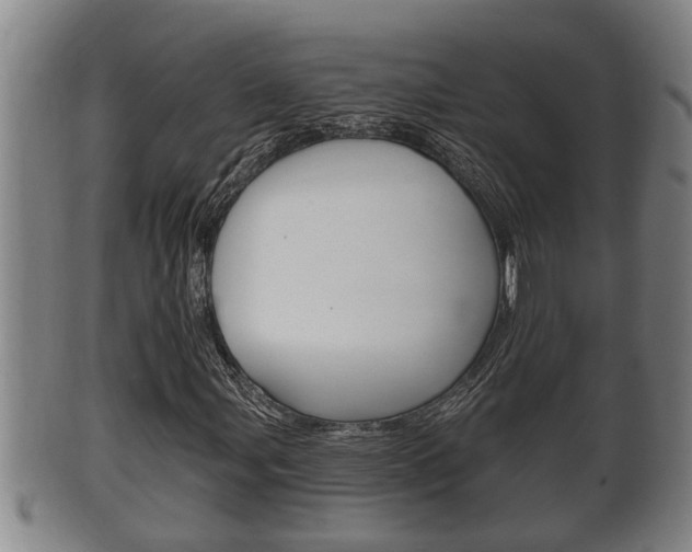 X0000100371107200806060755