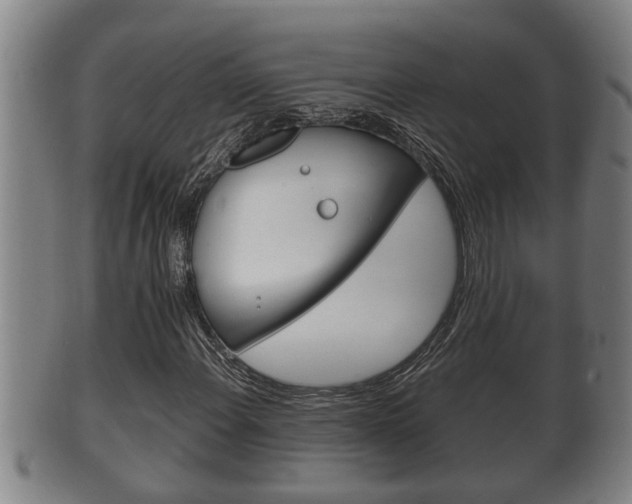 X0000100371108200806060755