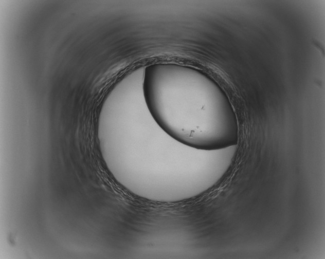 X0000100371111200806060755