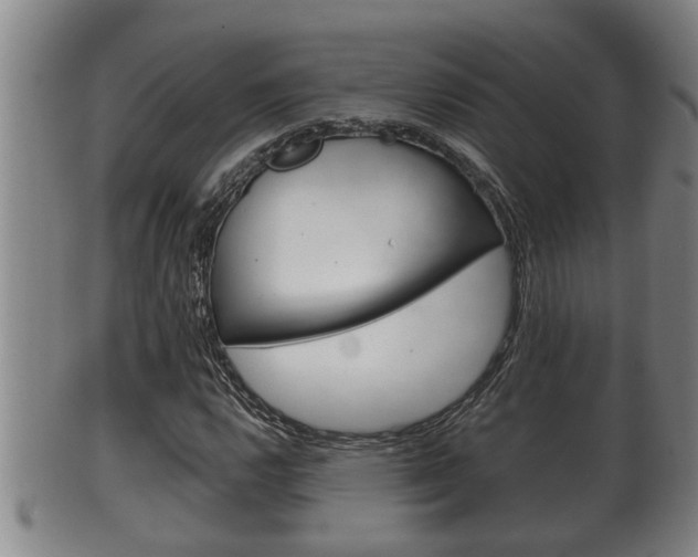 X0000100371112200806060755