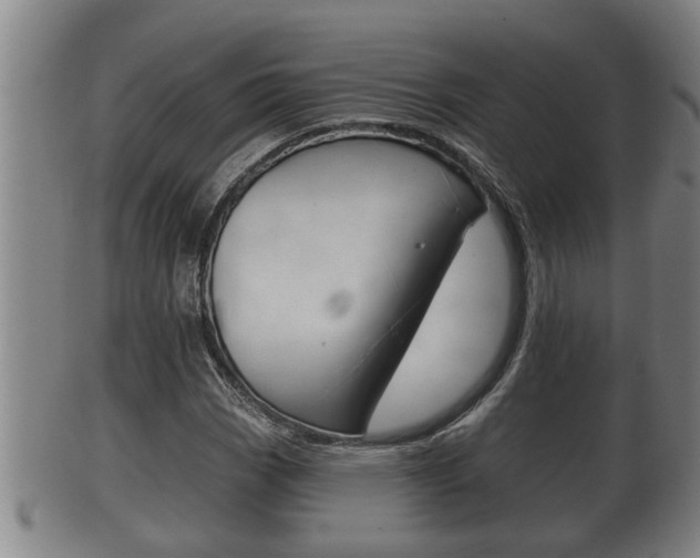 X0000100371113200806060755