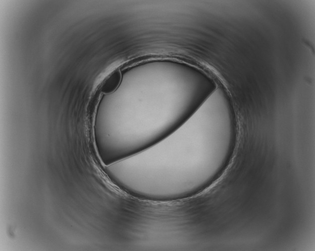 X0000100371114200806060755