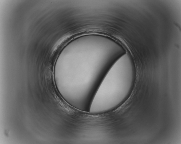 X0000100371115200806060755