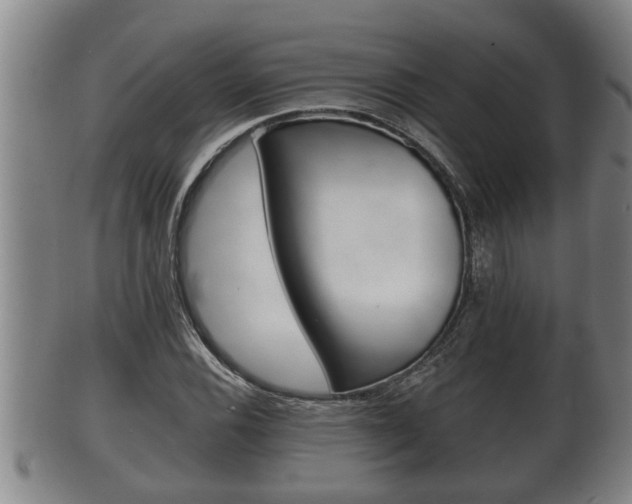X0000100371116200806060755