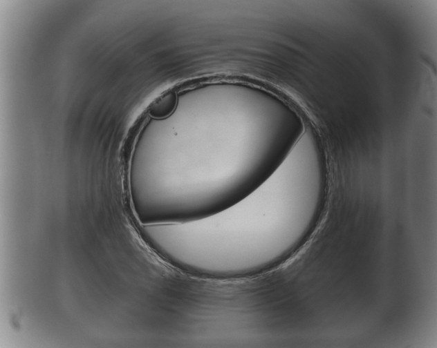 X0000100371118200806060755