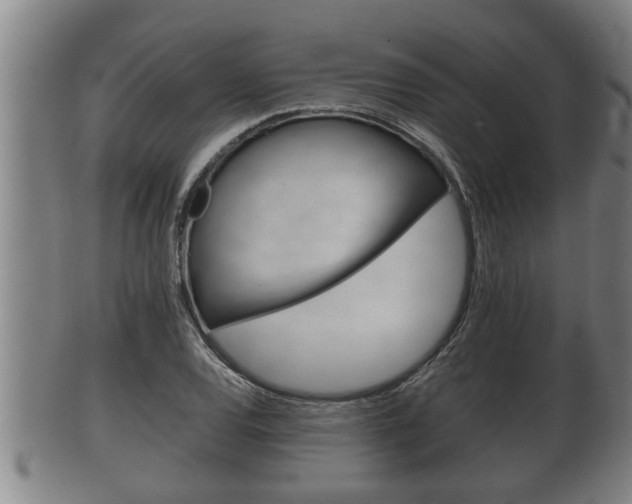 X0000100371120200806060755
