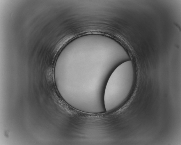 X0000100371121200806060755